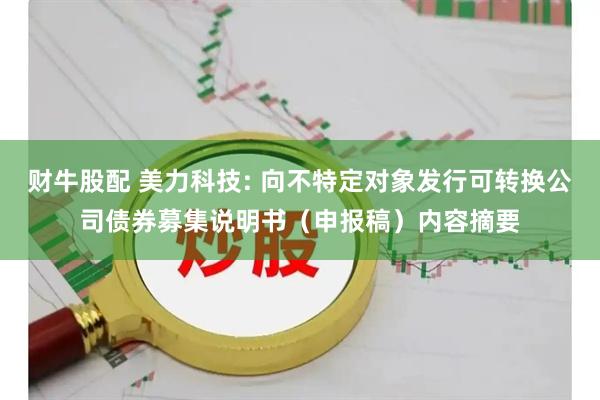 财牛股配 美力科技: 向不特定对象发行可转换公司债券募集说明书（申报稿）内容摘要