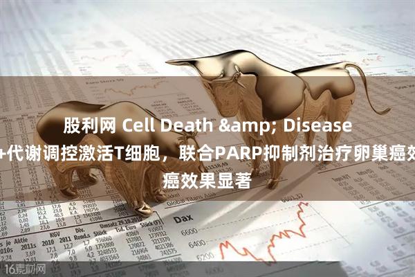 股利网 Cell Death & Disease｜NAD+代谢调控激活T细胞，联合PARP抑制剂治疗卵巢癌效果显著