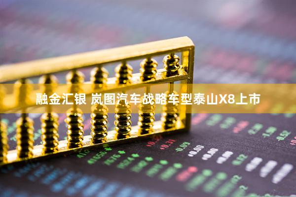融金汇银 岚图汽车战略车型泰山X8上市